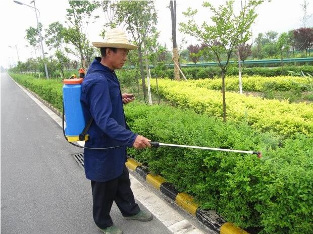 道路綠化養護