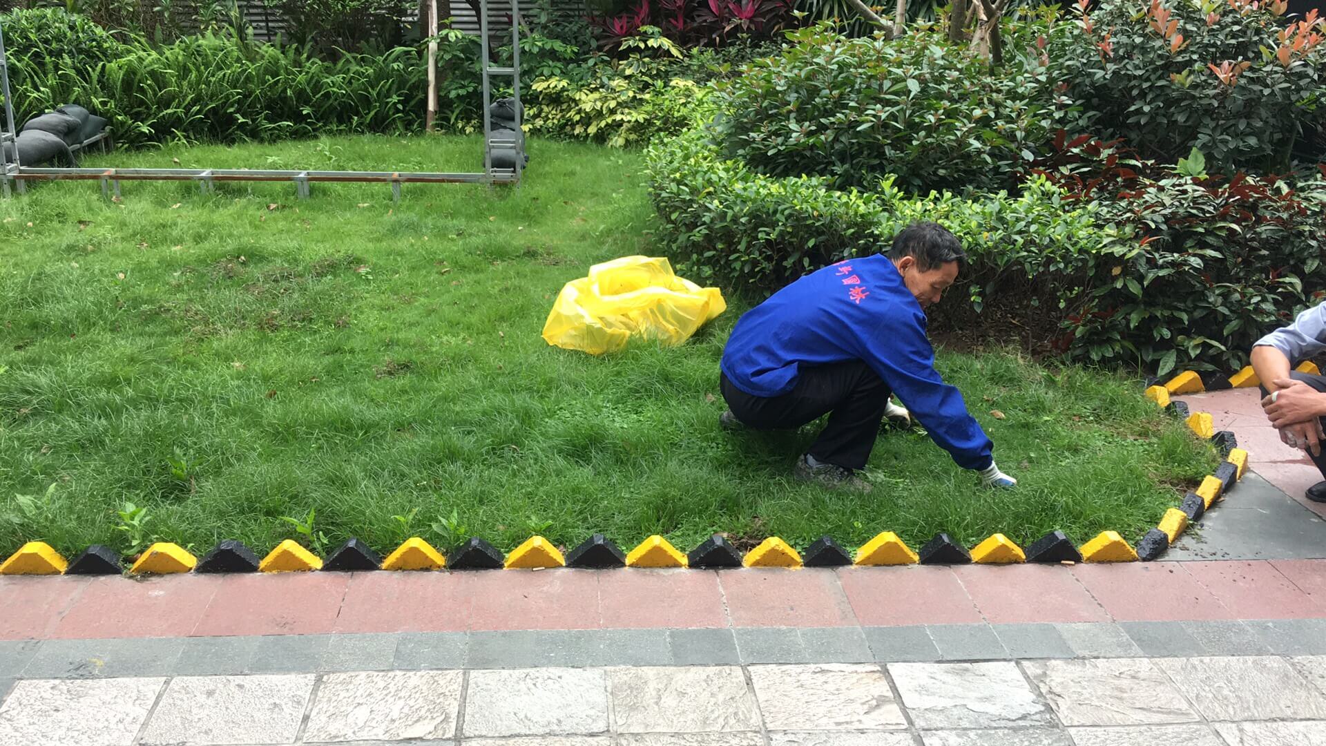 綠化養護草坪修剪