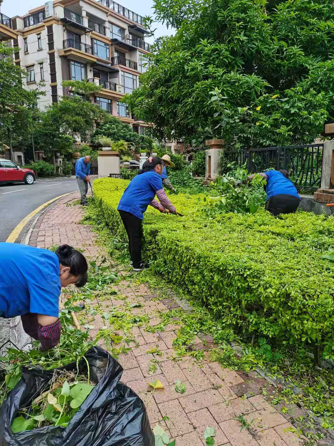 佛山保利小區綠化養護日常工作圖