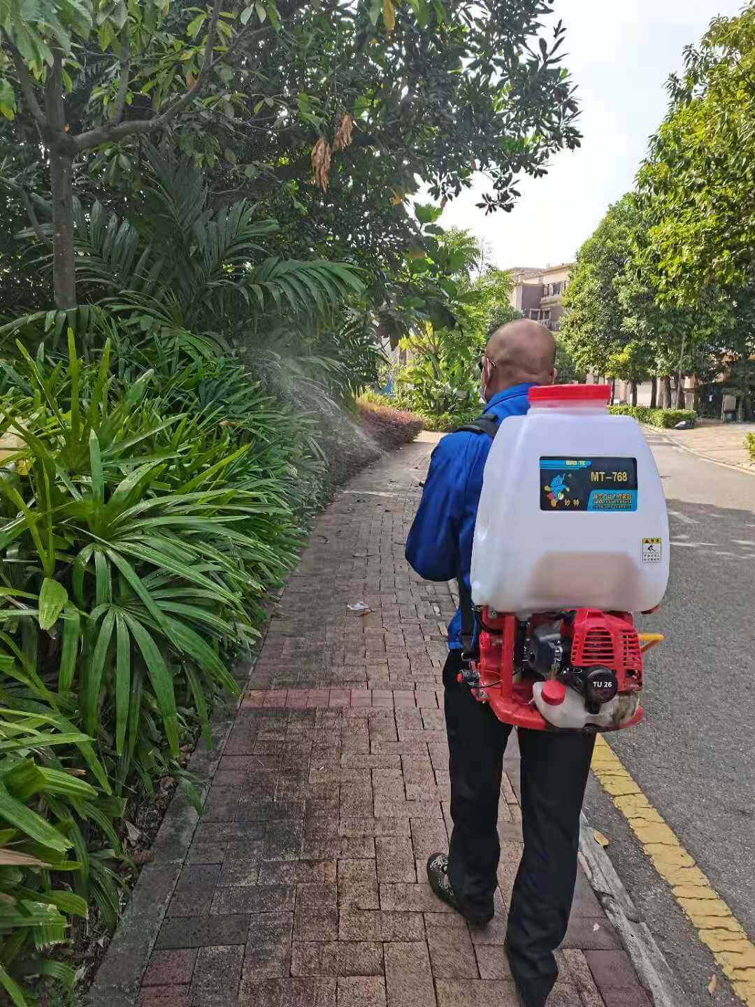 小區綠化養護病蟲害防治