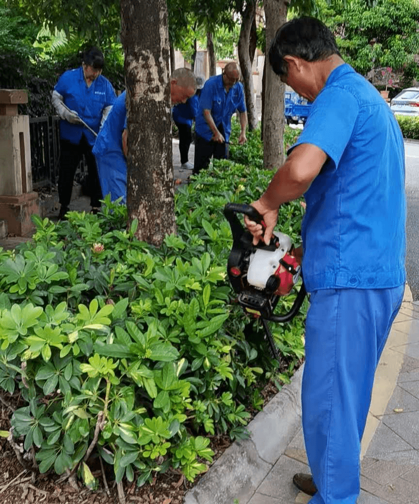 小區綠化養護日常修剪