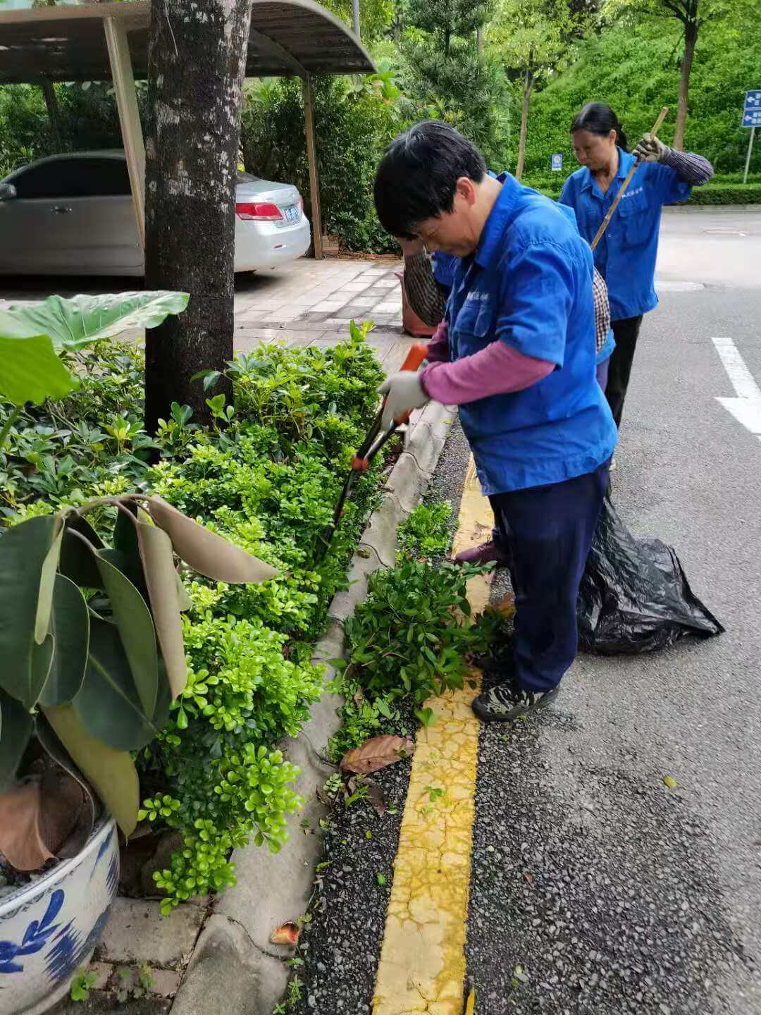 小區綠化養護