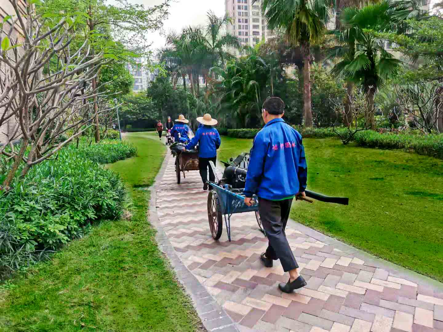 園林綠化養護