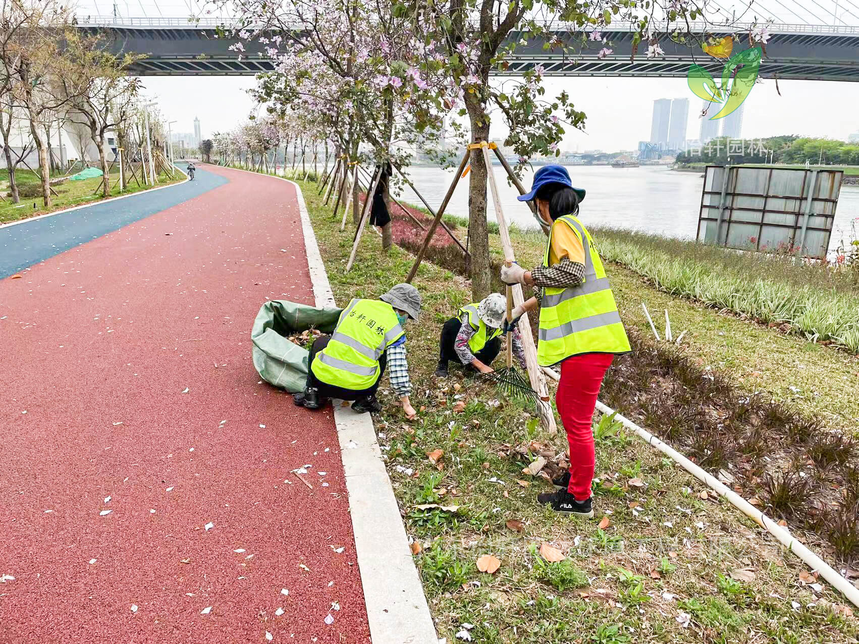 園林綠化公司